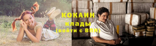 apvp Аркадак
