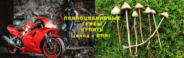 каннабис Арсеньев