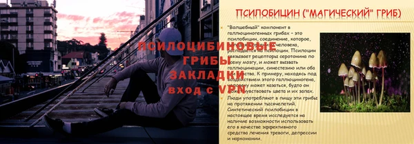 apvp Аркадак